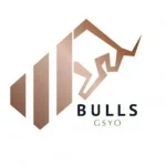Bulls_Girisim__BULGS__tavanda_bekleyen_lot_says__B_1740126128